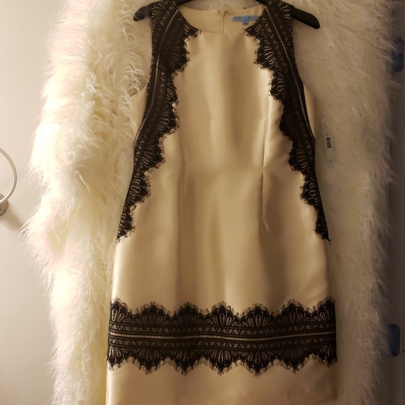 ANTONIO MELANI Dresses & Skirts - ANTONIO MELANI  chic champagne dress w/black lace